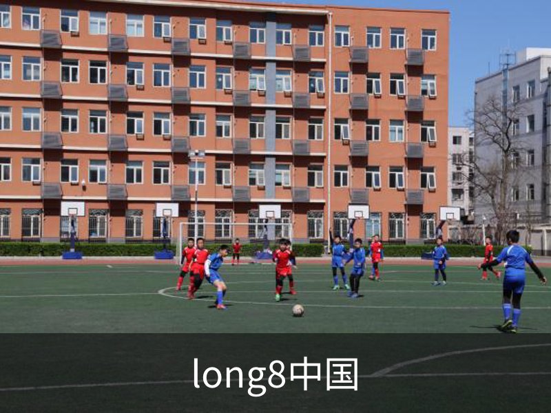 long8中国介绍